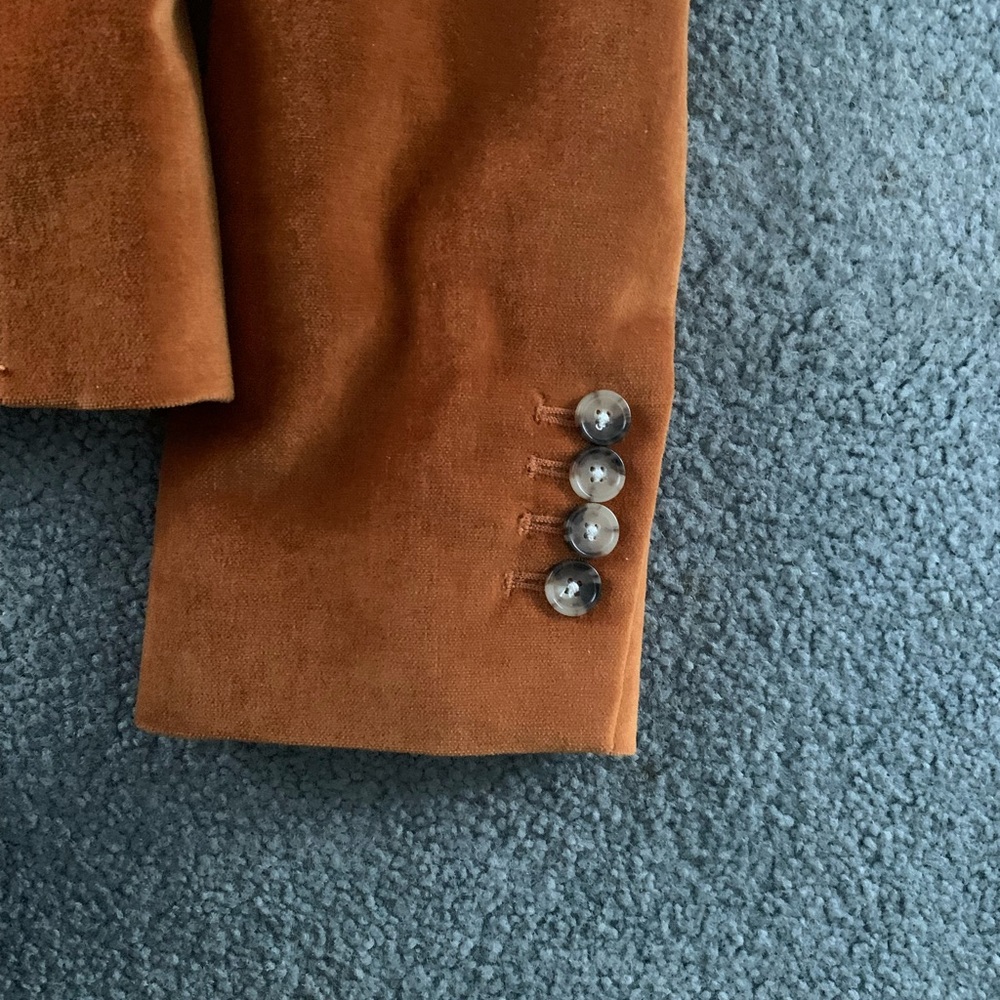NWT-Burnt Orange Wilfred Velvet Blazer (Size 2) - Picture 4 of 4